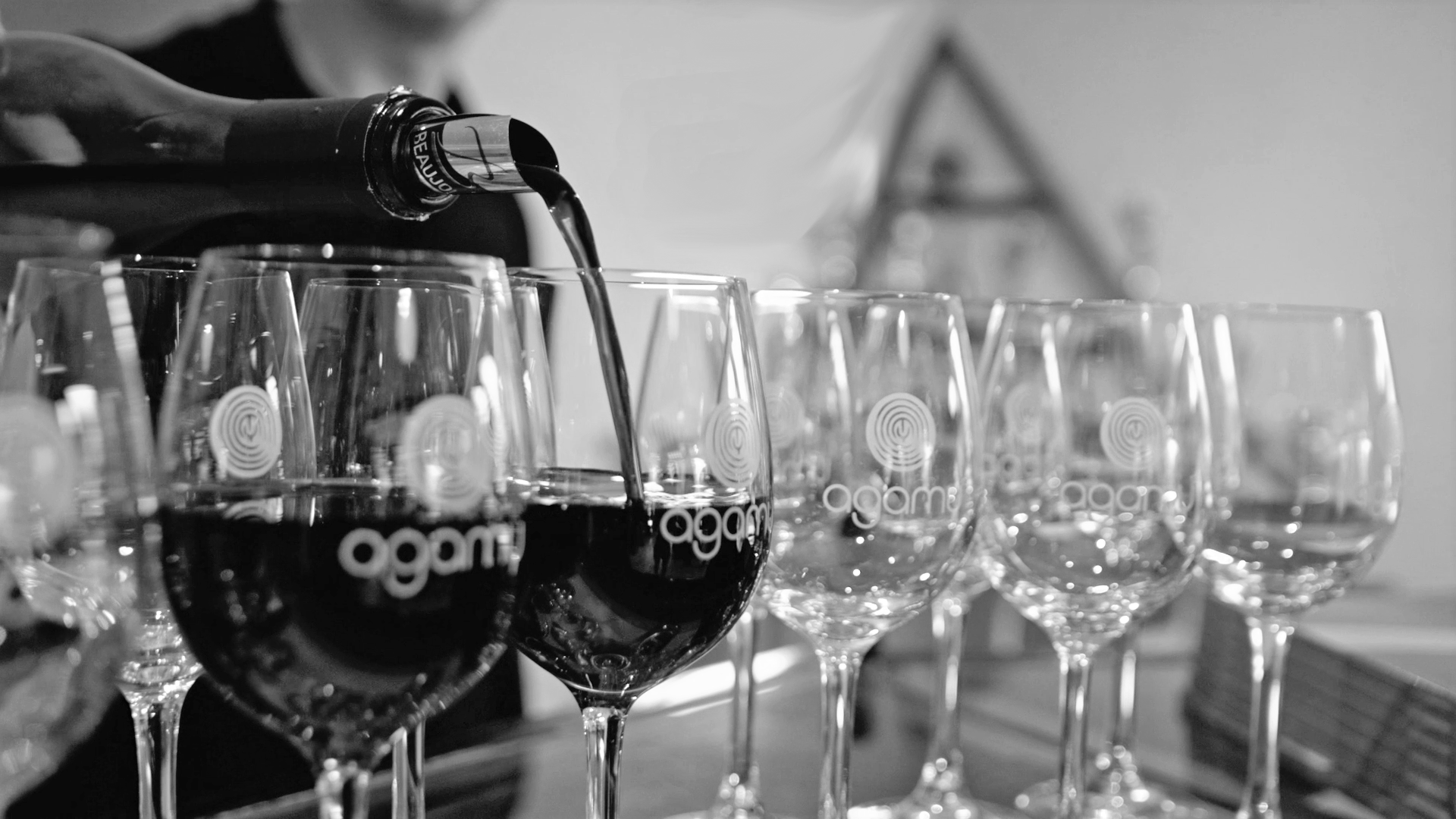 Dégustation VIP avec le Maître de Chai
