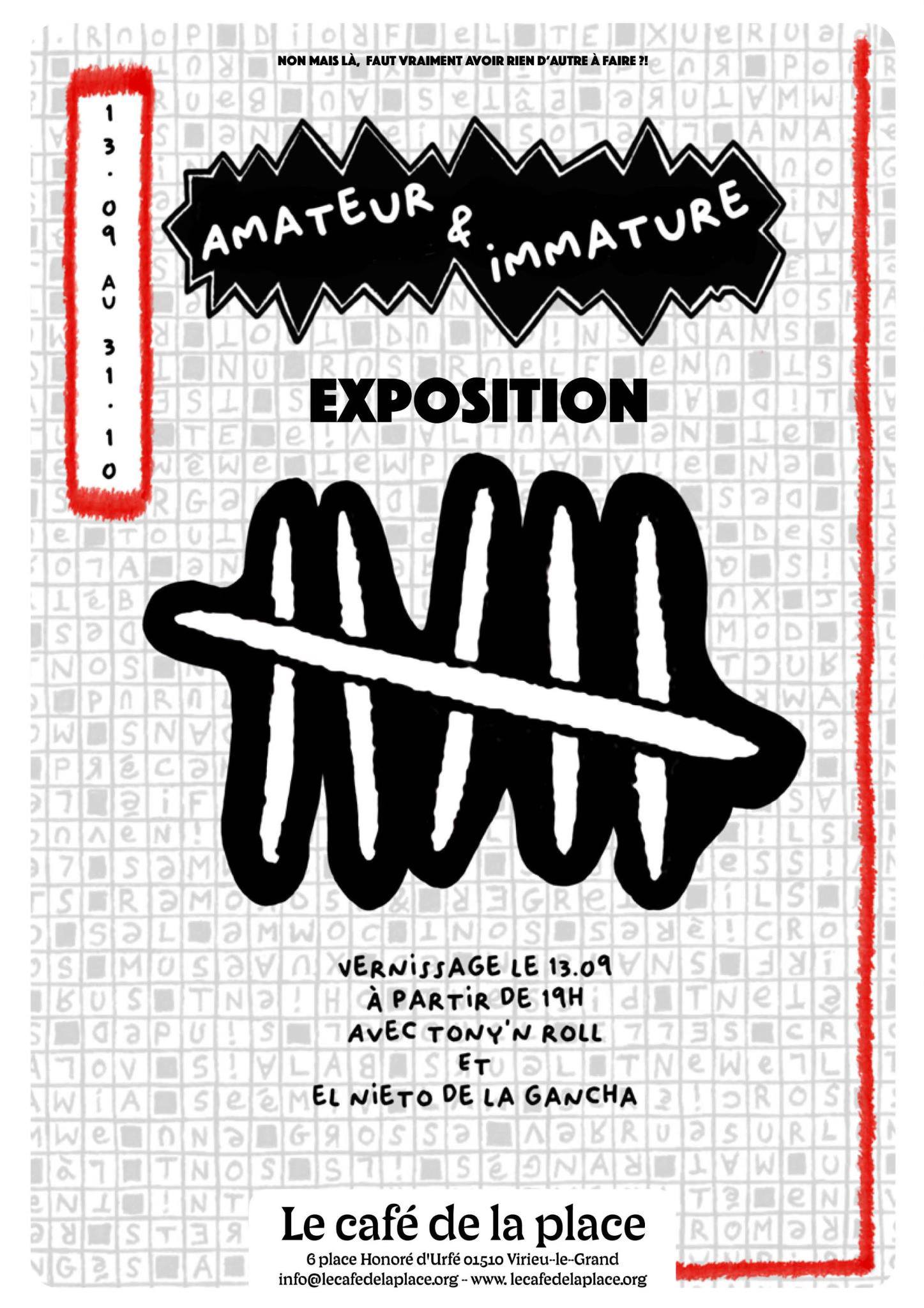 Exposition de photographies "Amateur et Immature" à Virieu le Grand