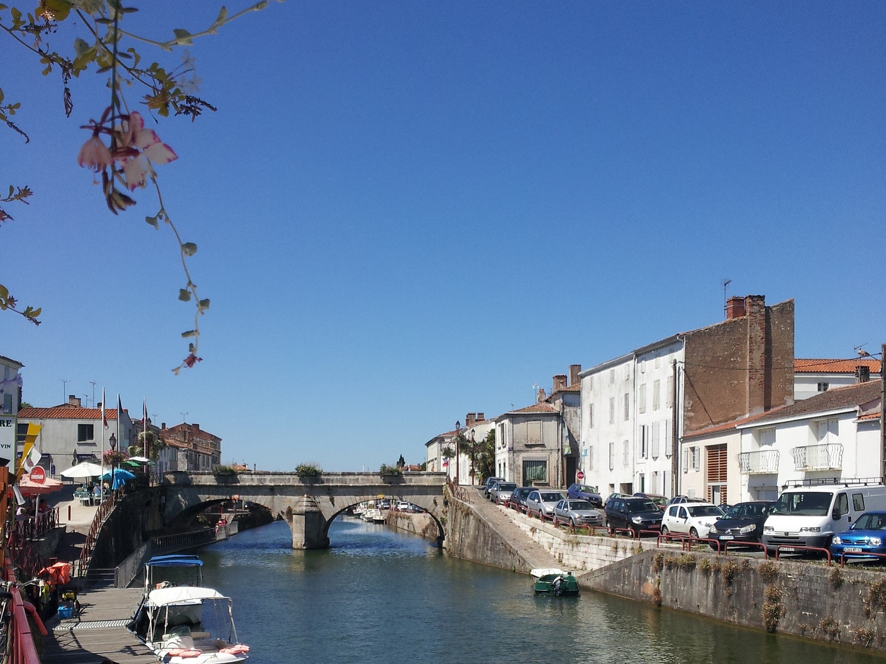 Parcours No-kill tout carnassier - Sèvre Niortaise