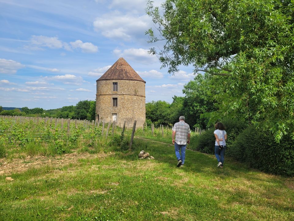Visite Groupe : du00e9couverte du Vignoble de Vauhallan avec du00e9gustation_Vauhallan