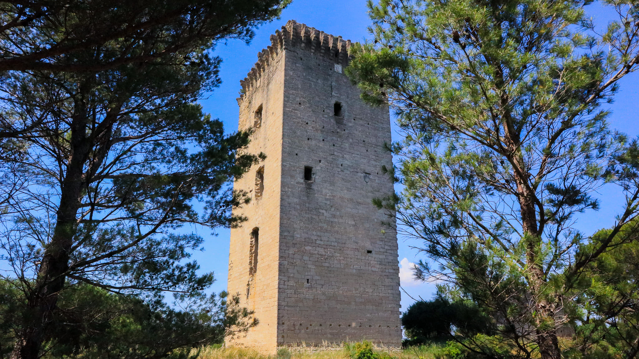 Tour Anglica, Barbentane - photo 5