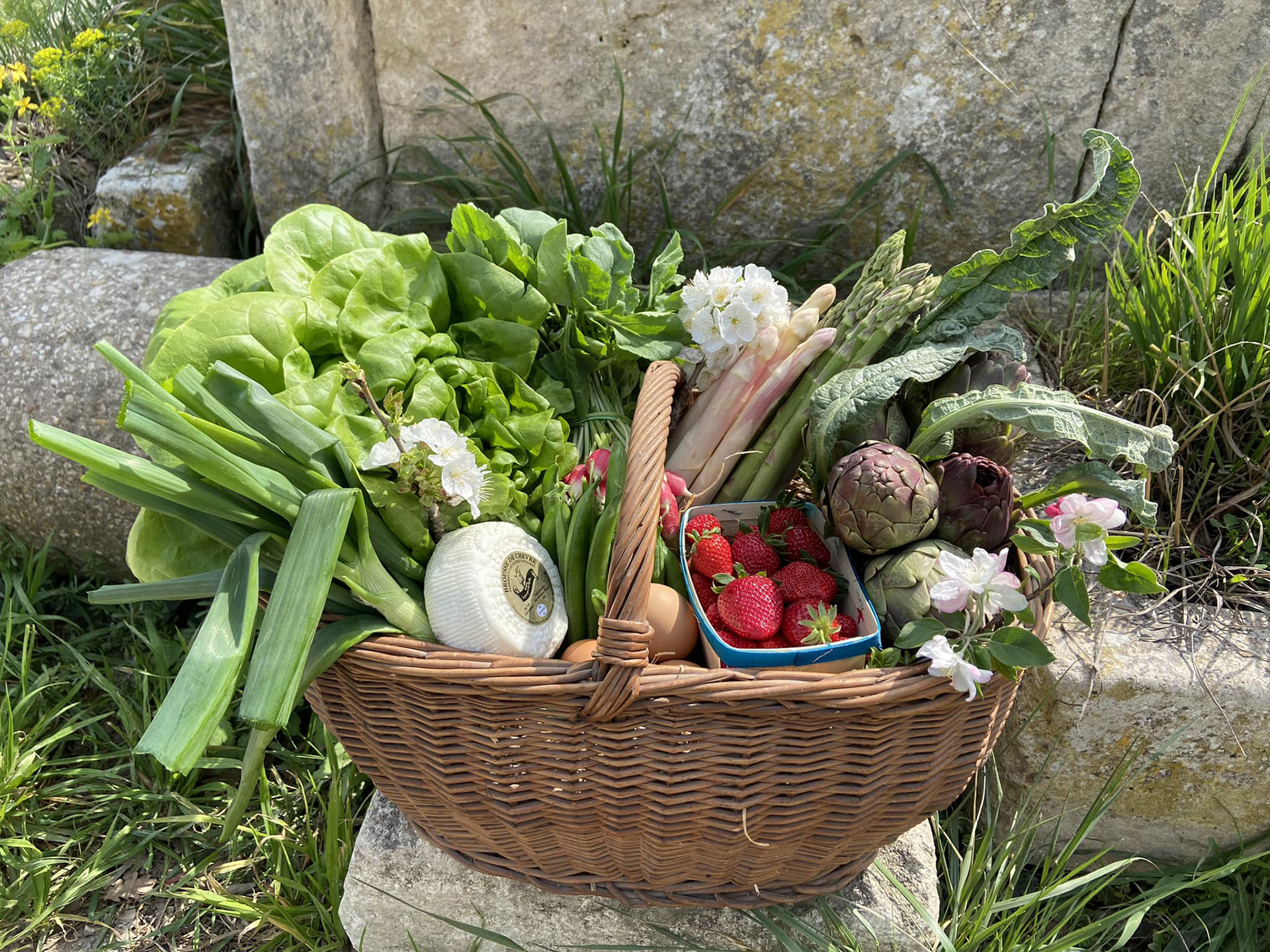 La petite ferme pédagogique de Saint-Rémy - Producteur