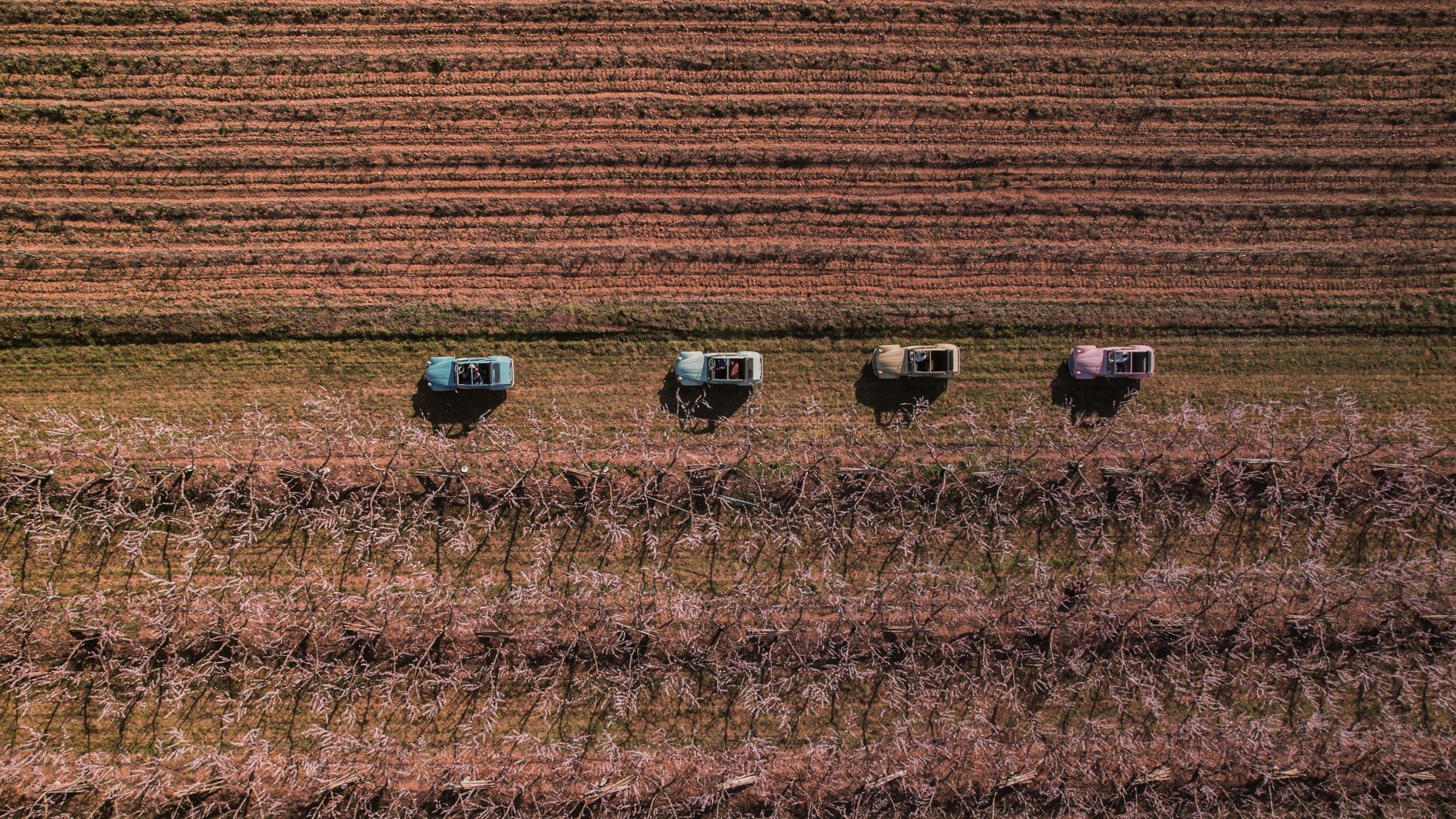 Camargue Safari Tours