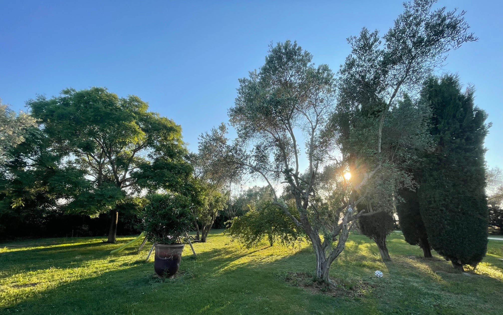Mas des Oliviers, Arles - photo 18