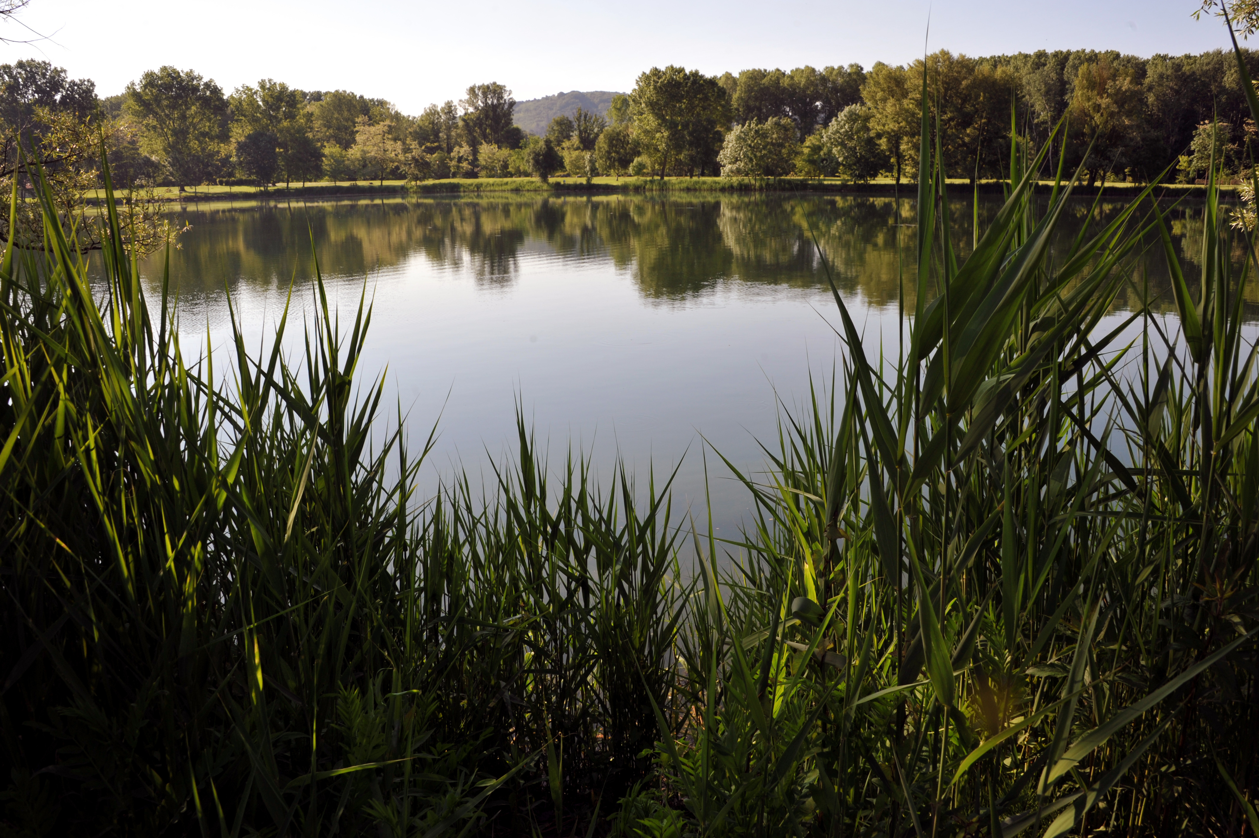 Domaine du Lac de Champos