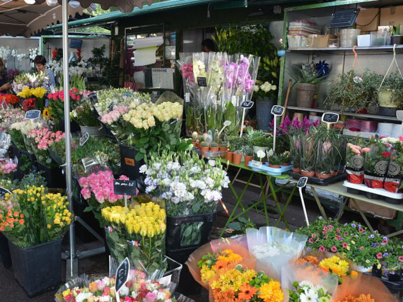 Marché aux fleurs du Prado  France Provence-Alpes-Côte d'Azur Bouches-du-Rhône Marseille 6e Arrondissement 13006