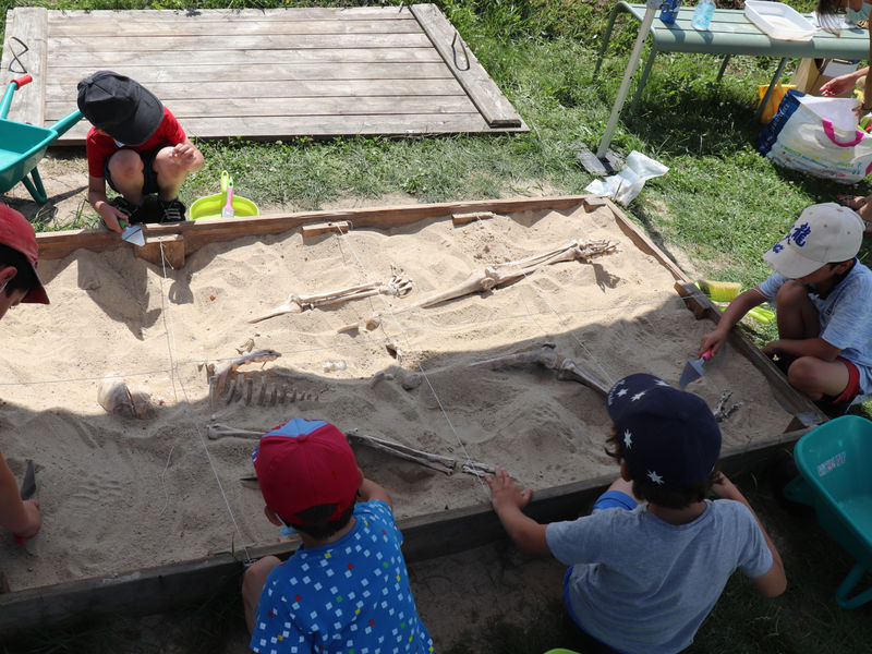 Children digging in a sandbox