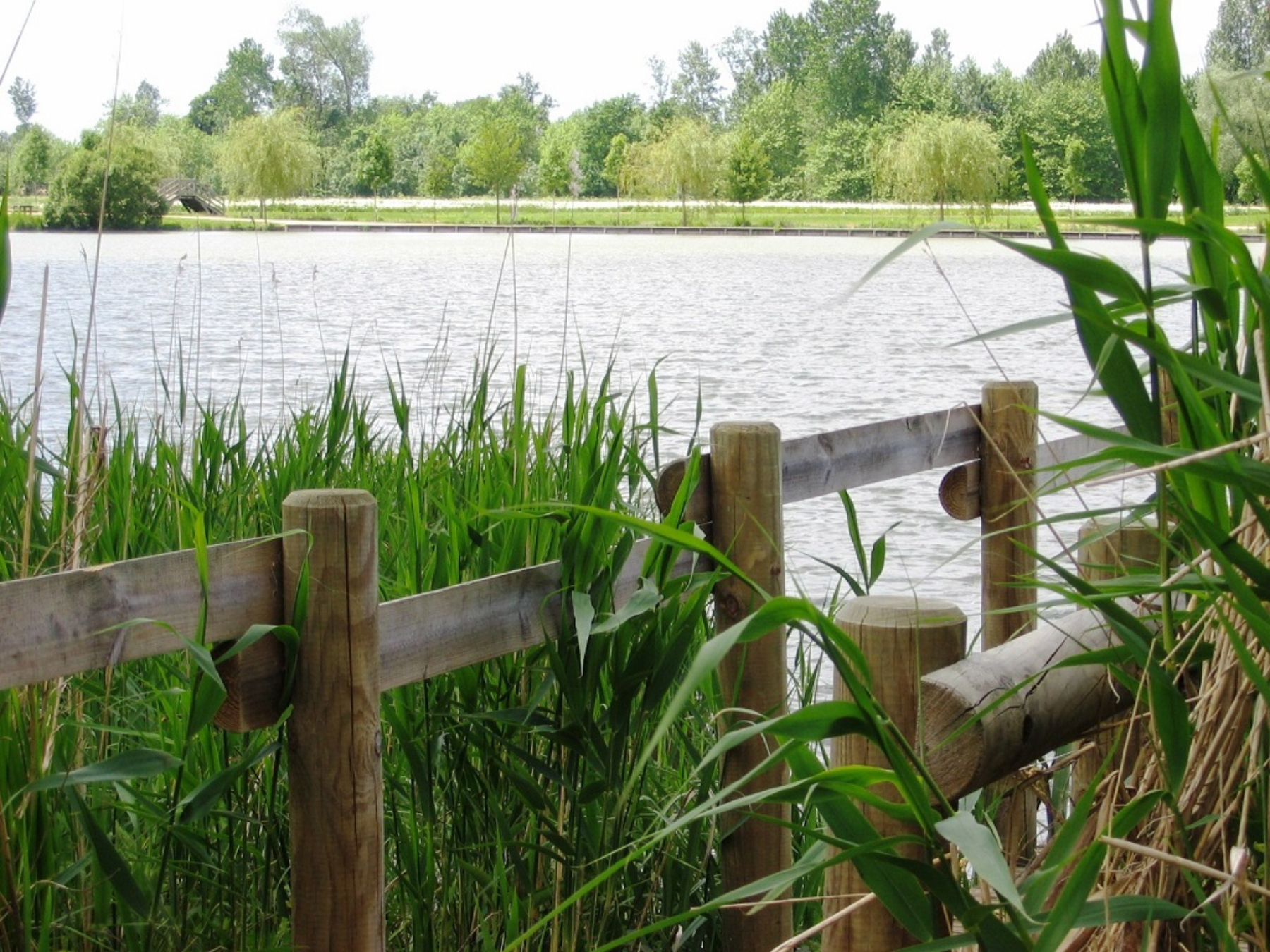 Circuit Vélo - De la ville au Lac