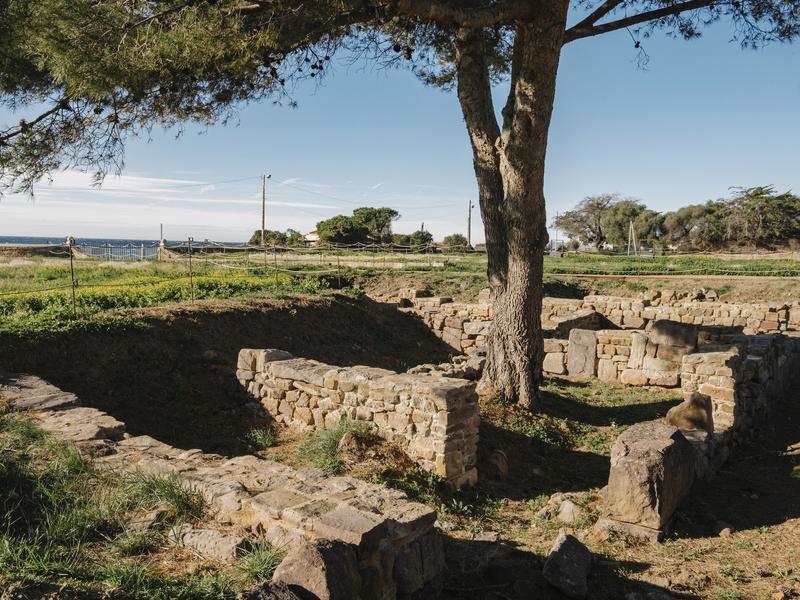 Le site antique d'Olbia