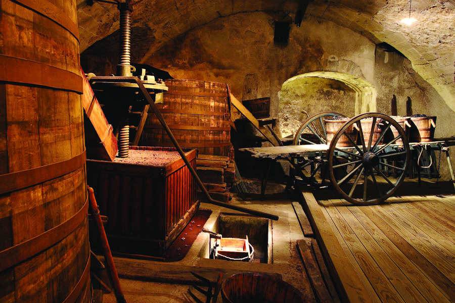 Musée de la Vigne et du Vin de Basse Auvergne | Journées Européennes du Patrimoine 2025