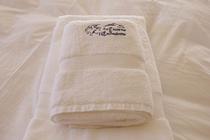 Karine Dessolis - La Licorne de l'Encombrette  1_Allos