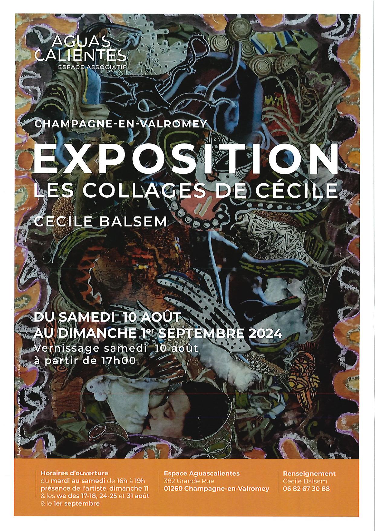 Exposition "Les collages de Cécile"