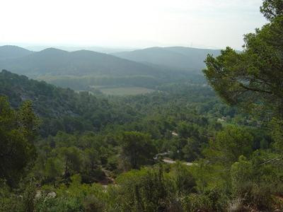 Roques hautes - circuit VTT 2