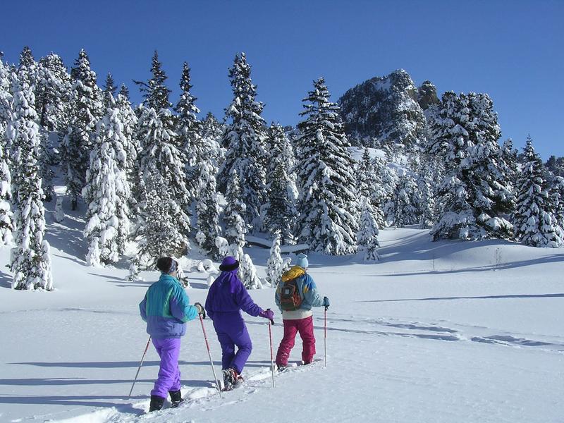 L'arboretum en raquettes 