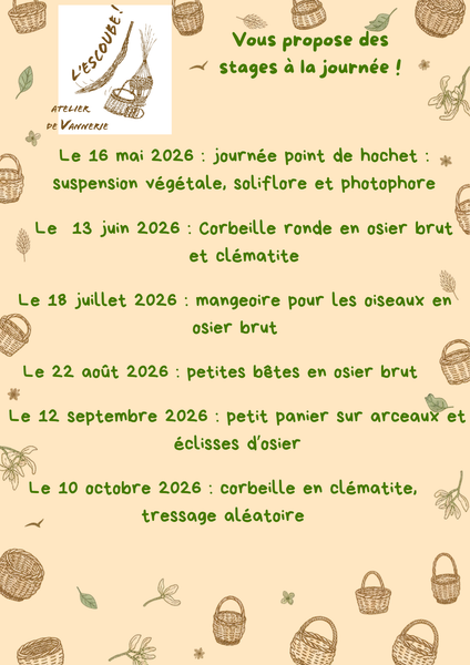 Vannerie : journée point de hochet