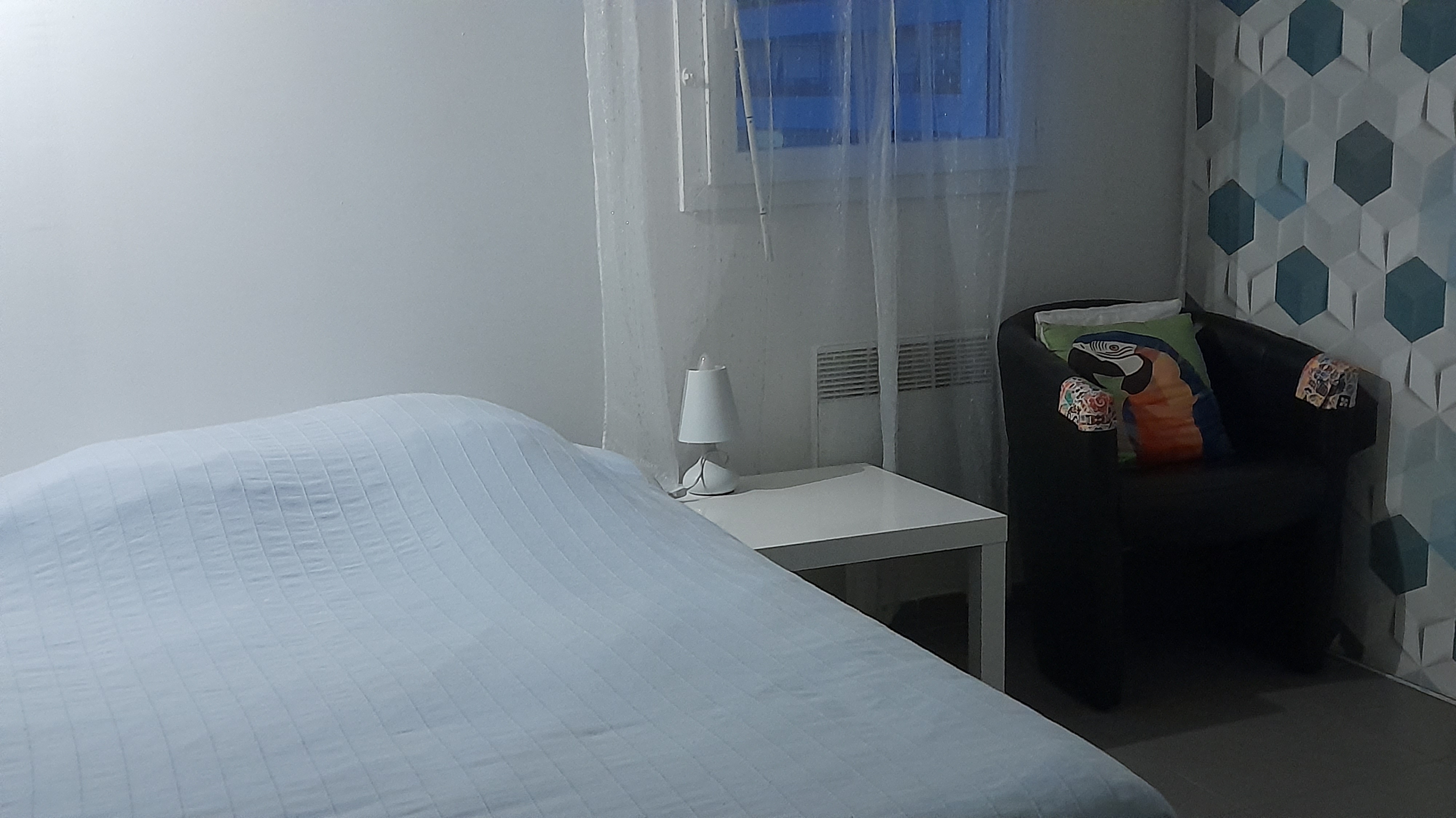 Mme Baudis, Marseille 16e Arrondissement - photo 3