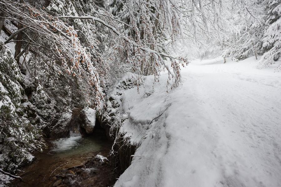 A travers les alpages - randonnée raquettes pays d'Evian