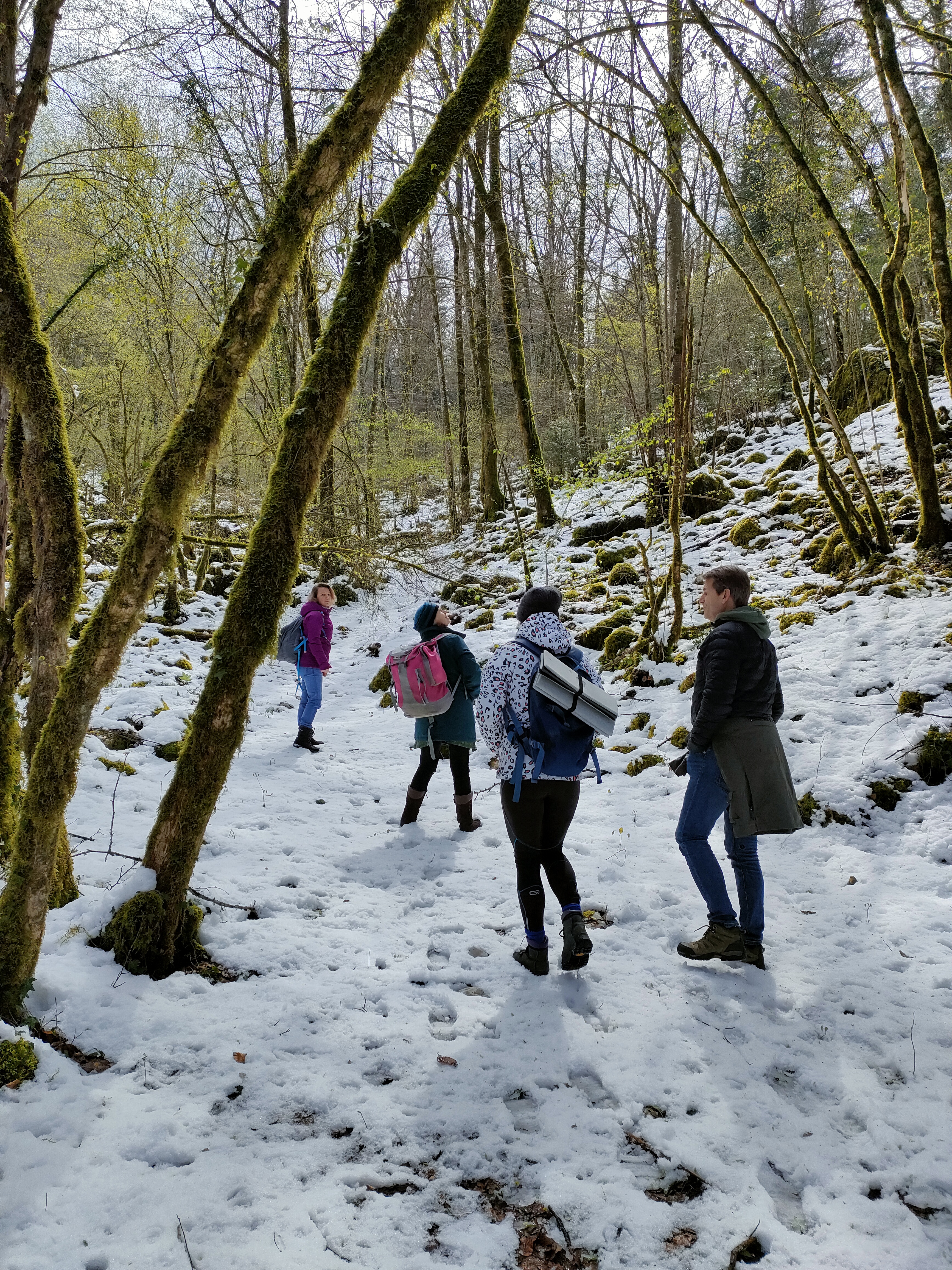 Sortie nature hiver