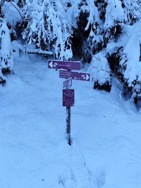 Boucle des Plaines - sentier raquettes_Cordon