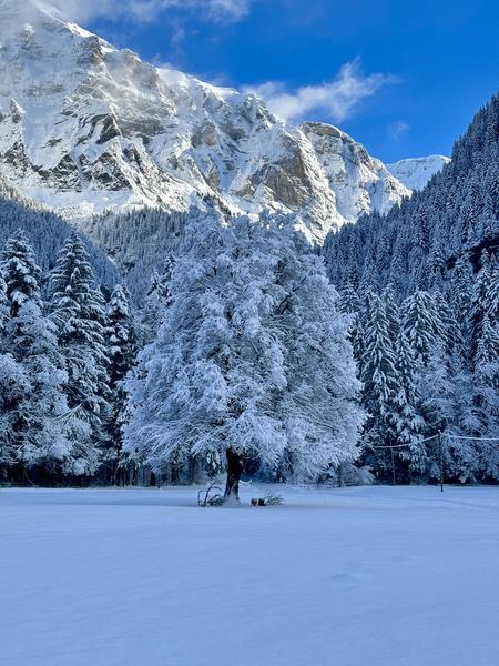 La Chotte du Musher_Champéry