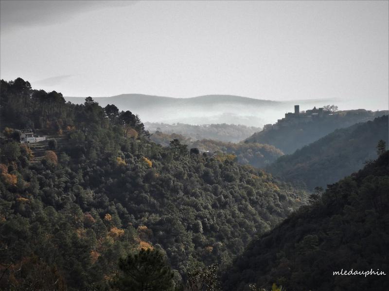 Village de Montréal_Montréal