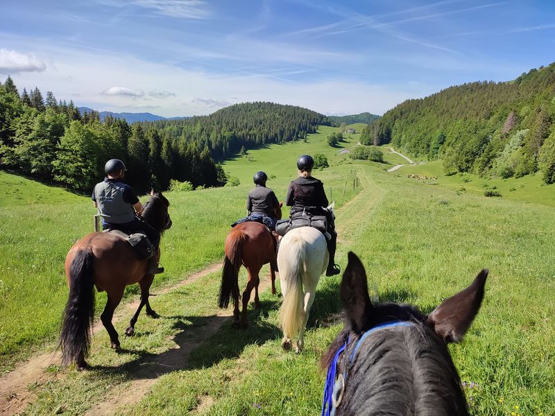Circuit des Montagnes du Haut-Jura
