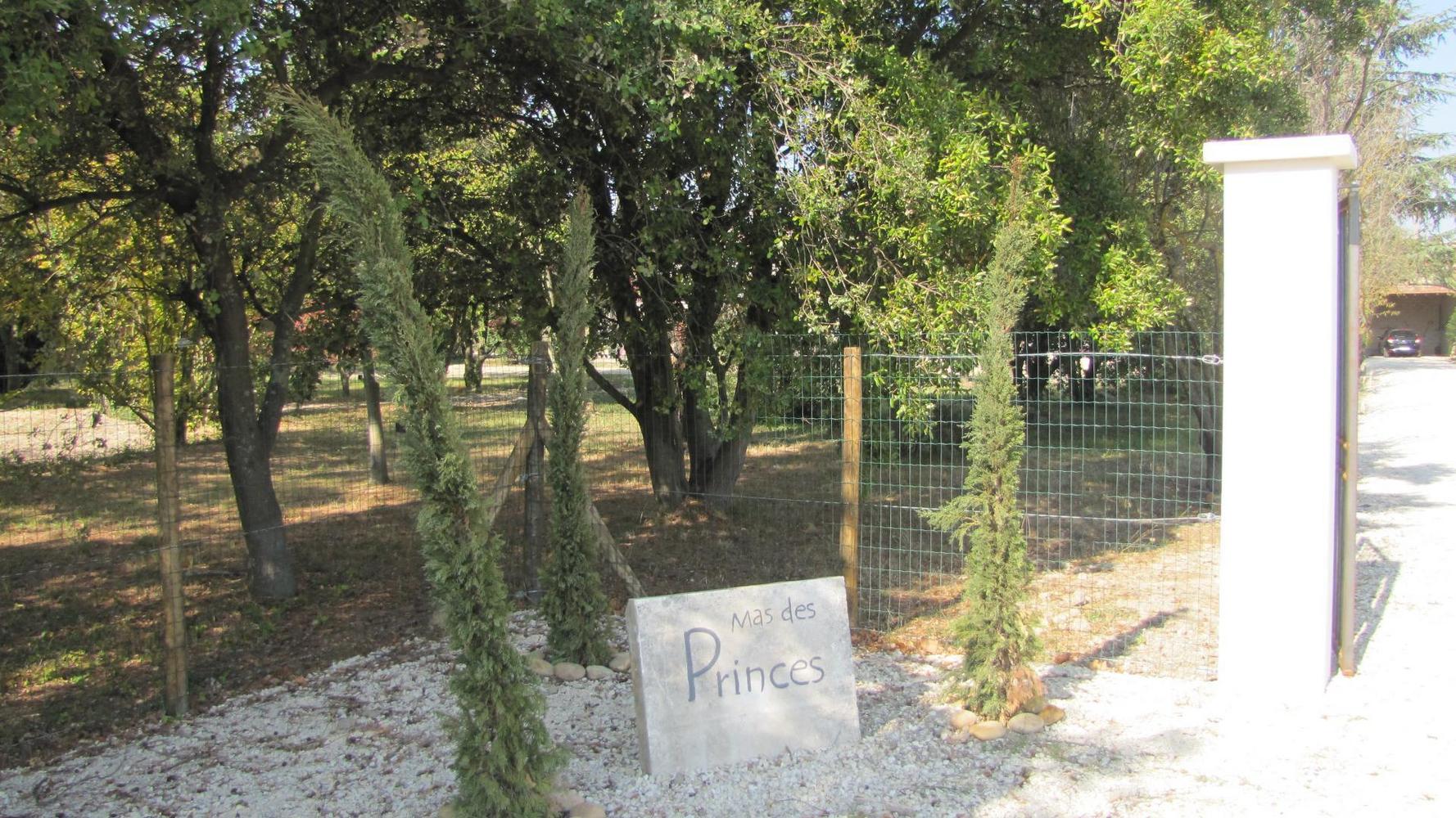 Mas des Princes, Noves - photo 56