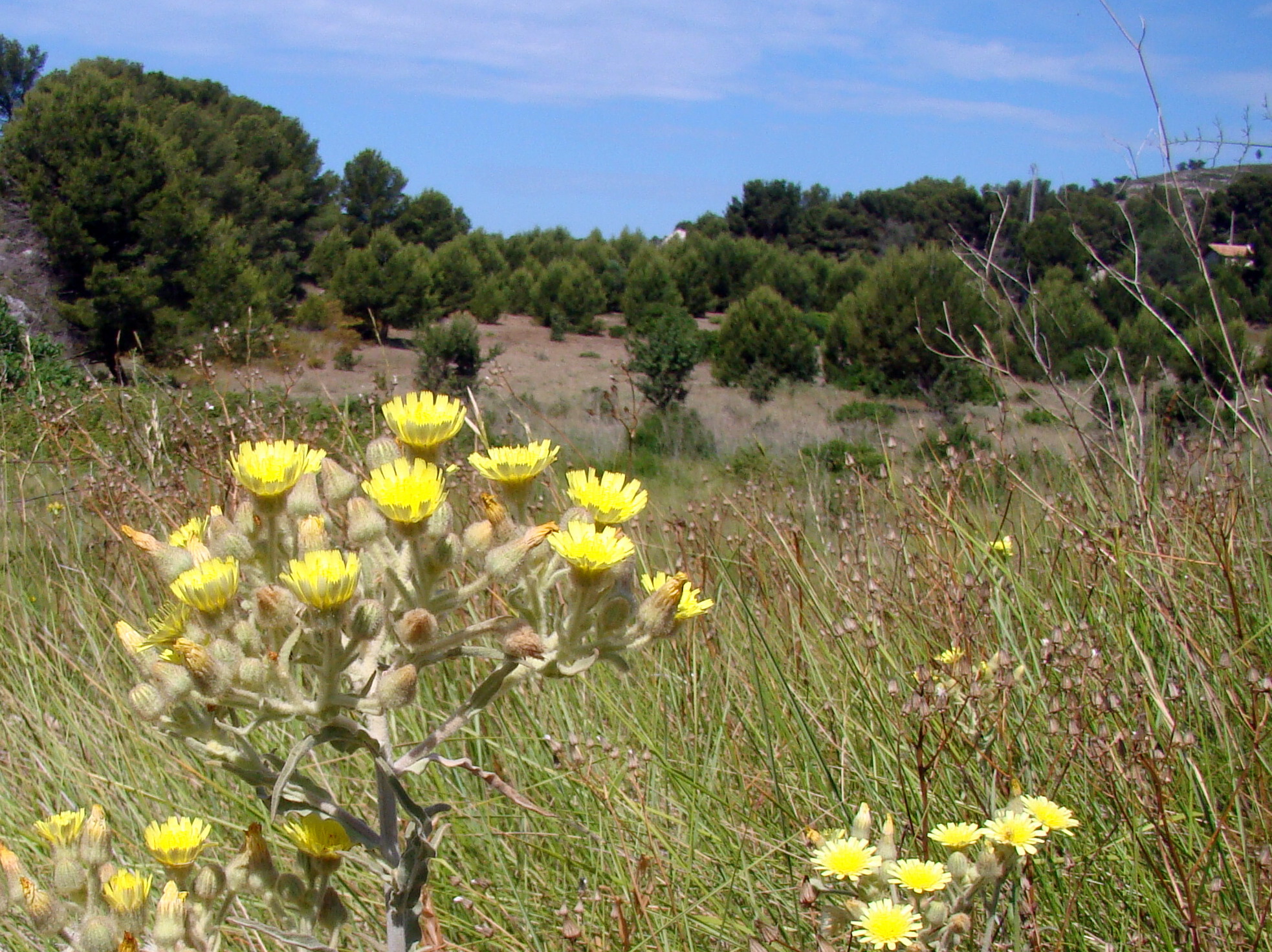 Topo rando Le Tour du Romaron, Carry-le-Rouet - photo 6