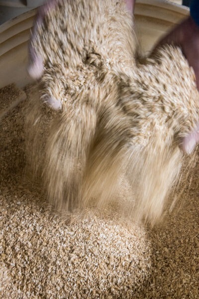 Brasserie du Mont-Aiguille