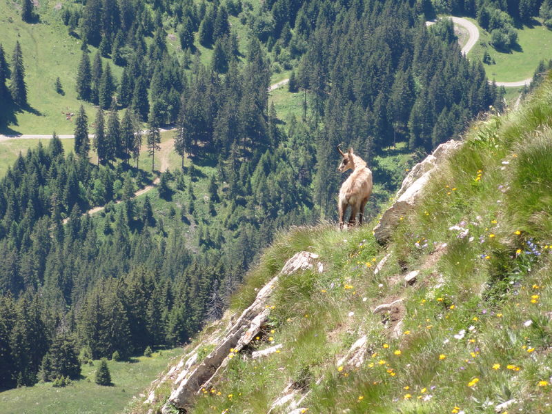 Charmant pied-à-terre pour randonner dans le Vercors
