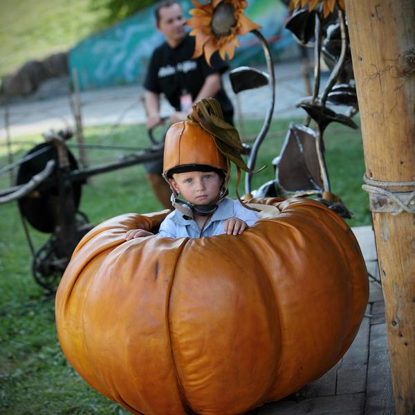 Slowly - de l'alpage à l'assiette à Notre Dame de Bellecombe_Crest-Voland
