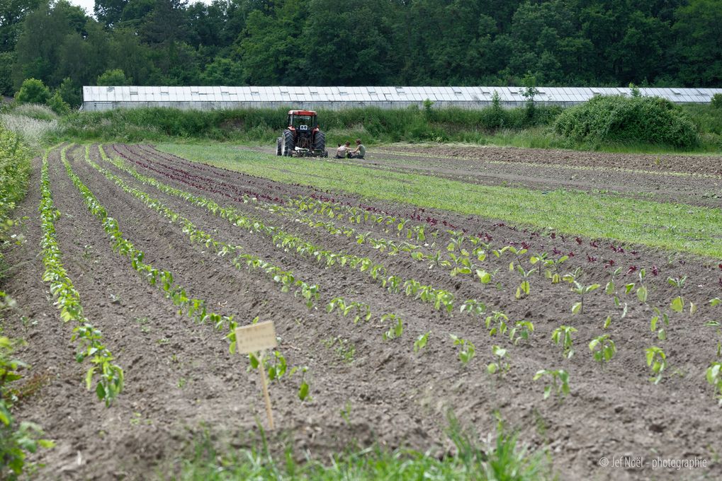 Les Potagers de Marcoussis