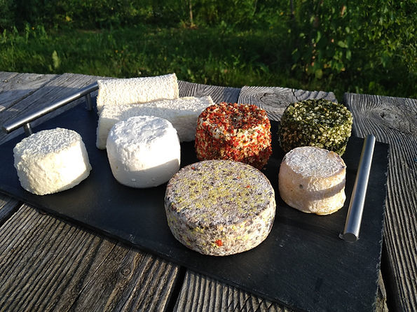 Bergerie Au Rythme du troupeau