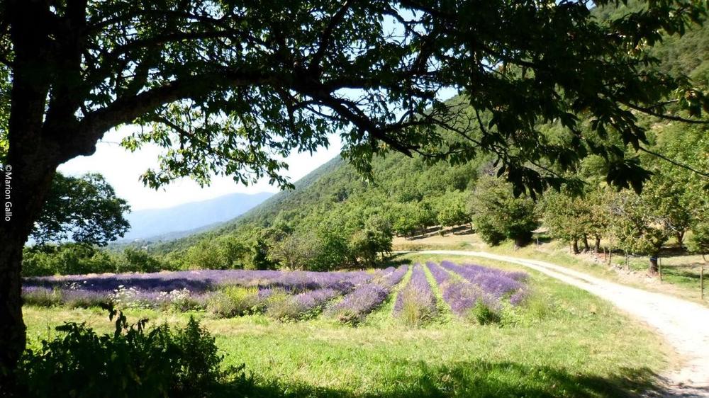 Le Devès