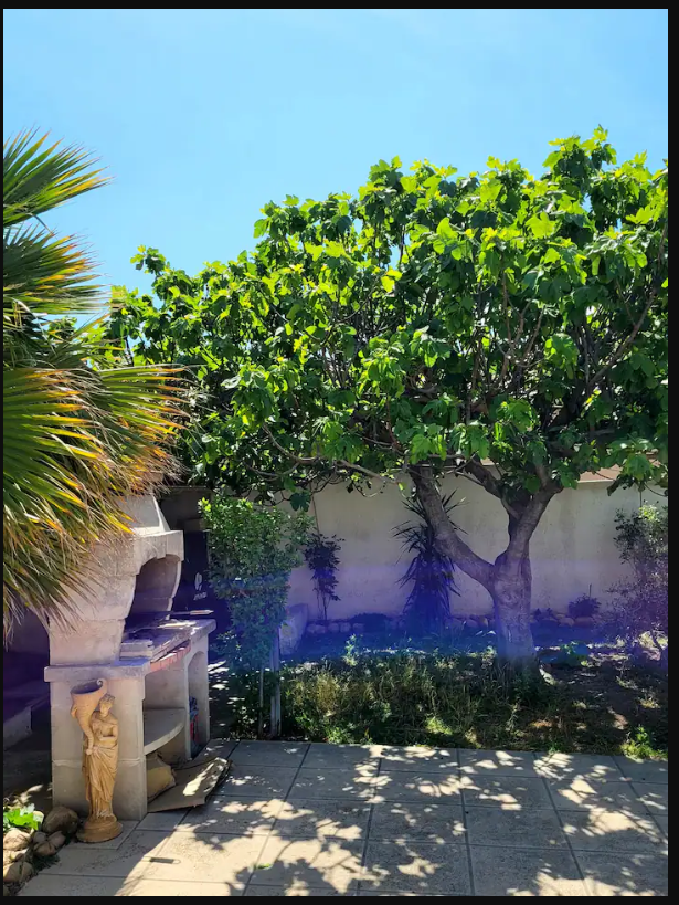 Maison de Jojo, Istres - photo 3