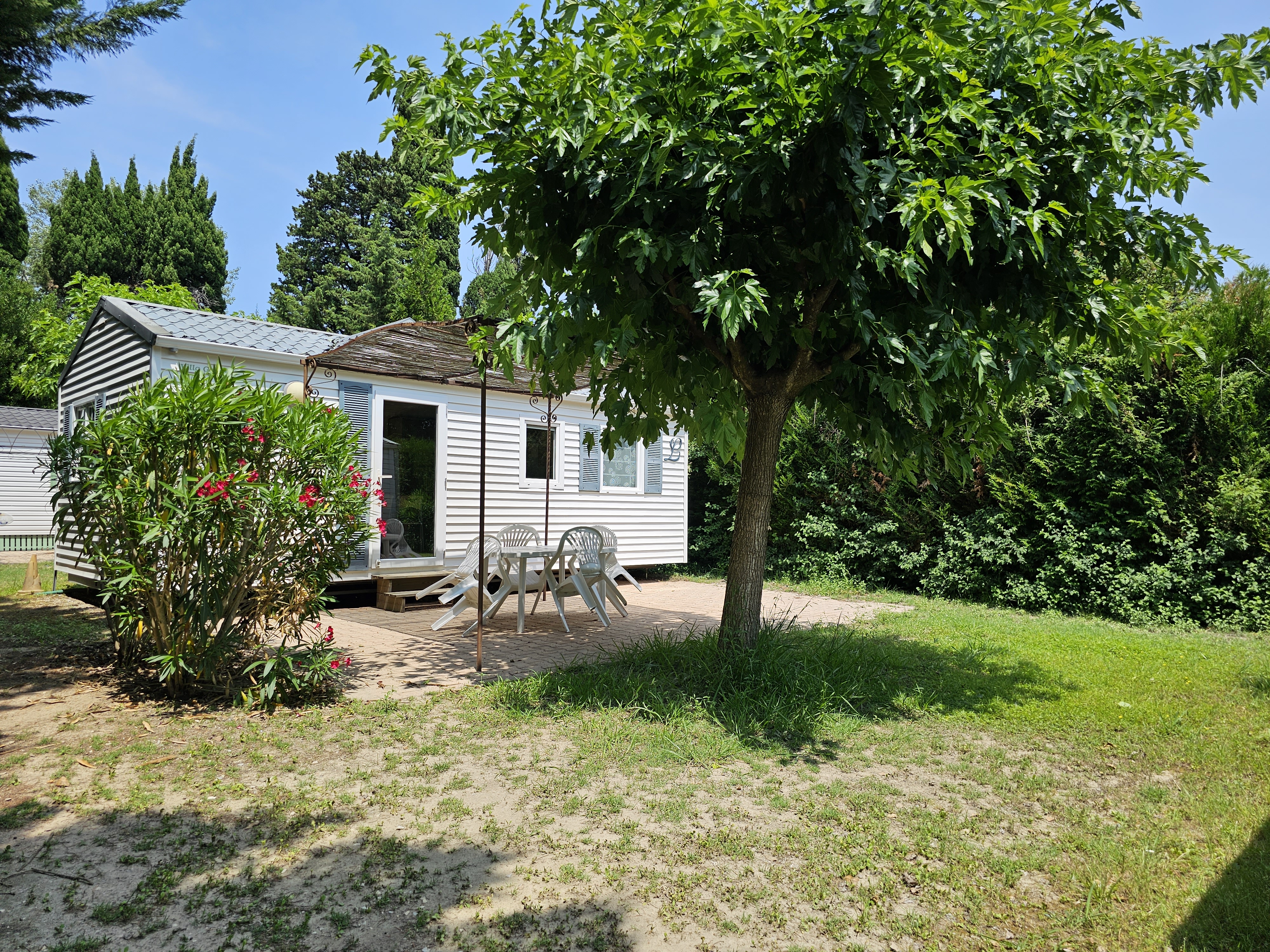 Les Micocouliers, Graveson - photo 22