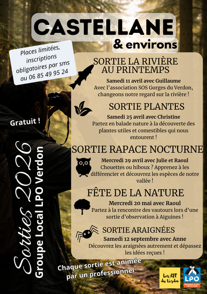 Sortie Groupe Local LPO 4_Castellane