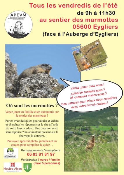 Où sont les marmottes ?