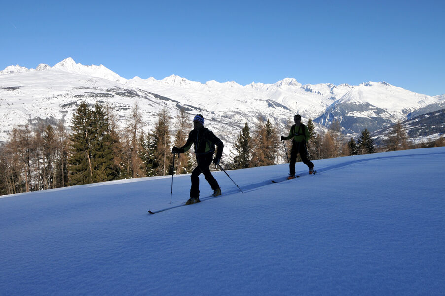 Itinéraire ski de randonnée : Les Coches - Plan Bois