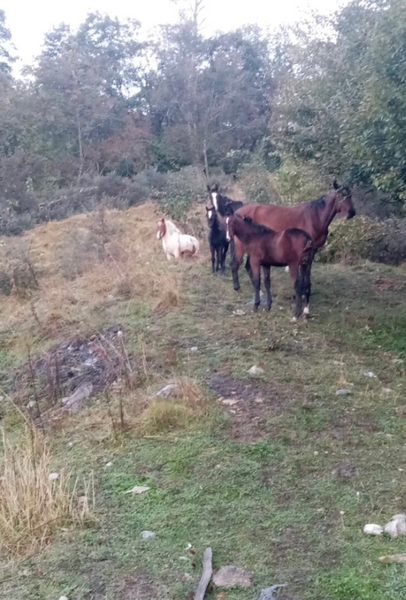 Bergerie de l'étoile