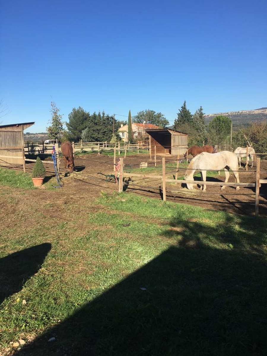 Coyote Girls Ranch
