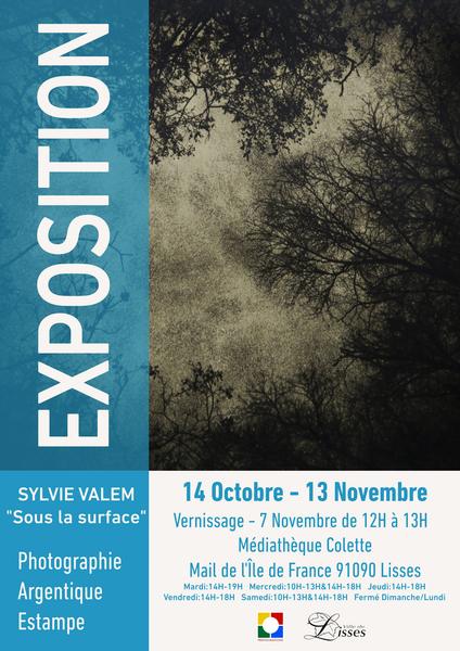 Sous la surface – Exposition de Sylvie Valem