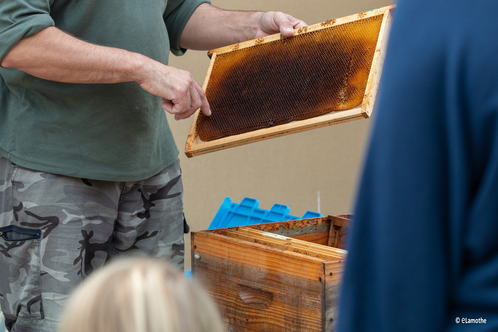 Miellerie de Feuillade