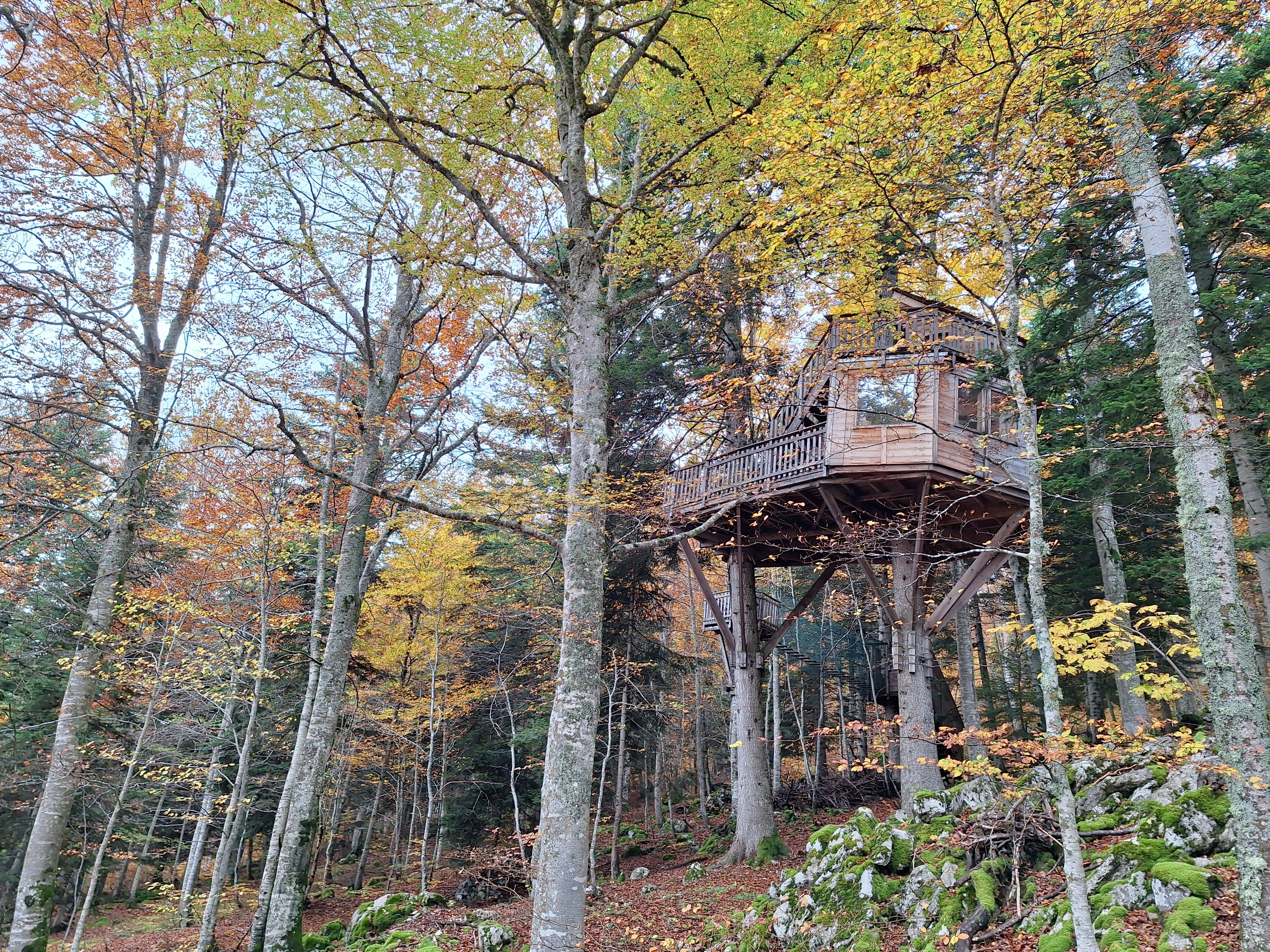 Nuits de cimes - La cabane du grand bois_Château-Bernard