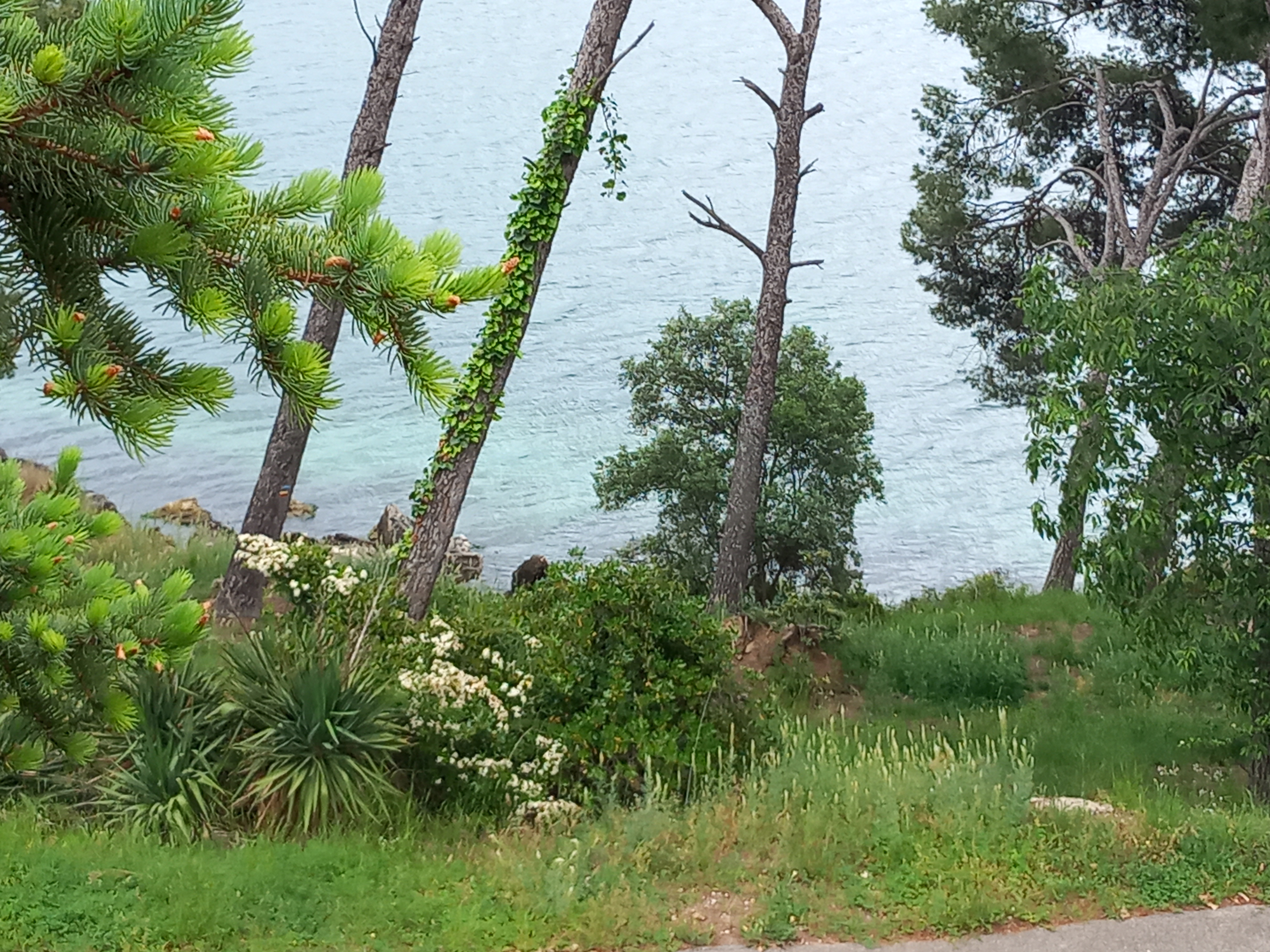 Pavillon Duplex Les Heures Claires