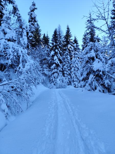 Boucle des Plaines - sentier raquettes_Cordon