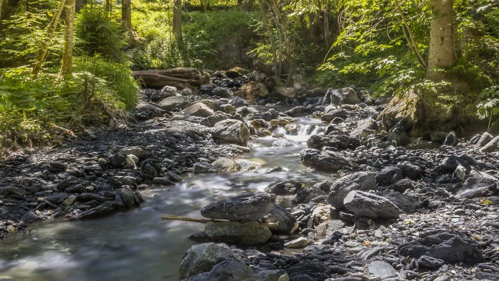 Balade du Pont des Nants depuis Pont de Barlioz - sentier pédestre_Cordon