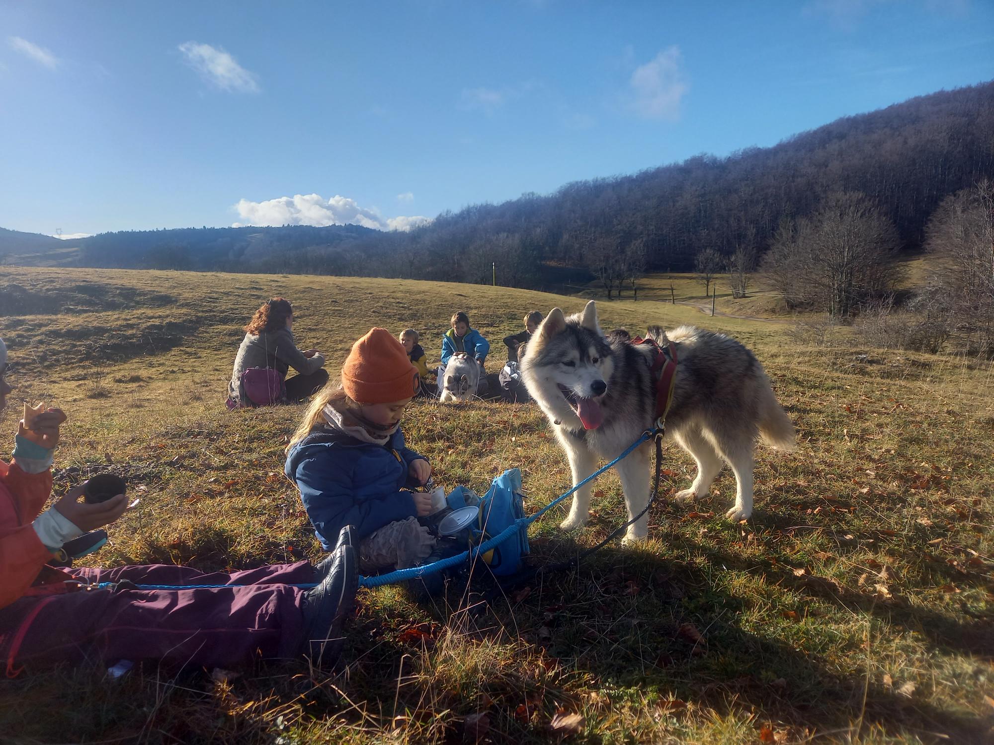 Cani-rando avec Symbiose