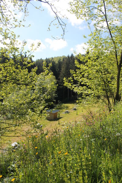 lac de la Broussonnié