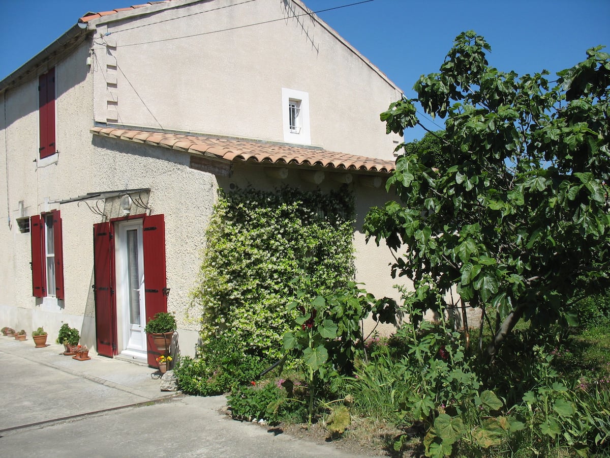 Le Petit Mas, Châteaurenard - photo 5